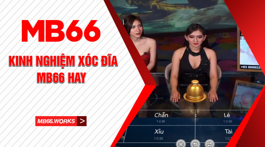 Mẹo Chơi Xóc Đĩa MB66 Bất Khả Chiến Bại Từ Cao Thủ 1 Bỏ túi kinh nghiệm quý báu khi chơi xóc đĩa MB66